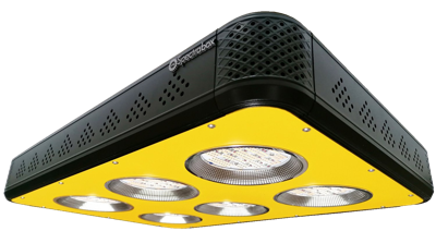 Spectrabox Spectrabox XTR2 LED