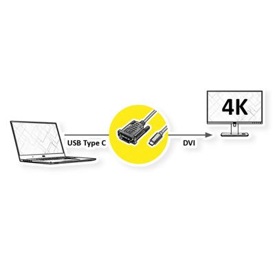 ROLINE USB type C - DVI adapterkabel, M/M, 2 m