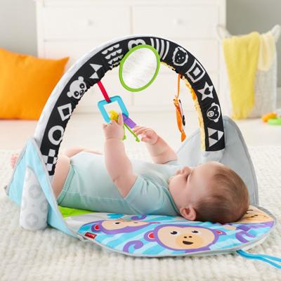 Fisher Price - 2-In-1 Activiteiten Gym - Speelgoed (0887961687330)