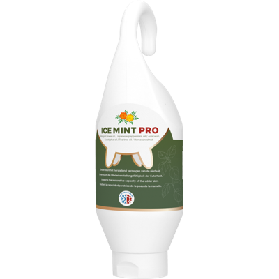 Ice Mint Pro Gel Sta- / Hangtube 500 ml