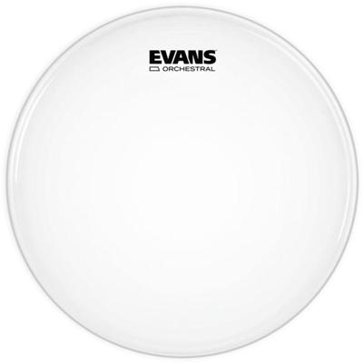 Evans S14GEN30 Orchestral 300 Clear 14 inch snaredrumvel