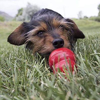 Spuitbus Kong voor de hond Cheddar Cheese - thumbnail