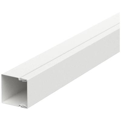 OBO Bettermann 6248489 Kabelgoot (l x b) 2000 mm x 30 mm Wit 2 m OBO Bettermann 6248489 Kabelgoot (l x b) 2000 mm x 30 mm Wit 2 m