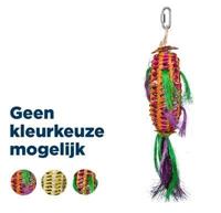 BACK ZOO NATURE MELON PINATA - thumbnail