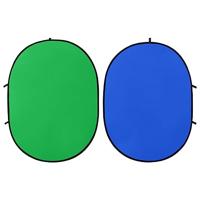 VidaXL Achtergrondscherm studio 2-in-1 ovaal 200x150 cm groen en blauw - thumbnail