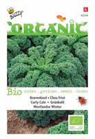 Zaden Organic Boerenkool Westlandse Winter (BIO) Buzzy - Buzzy - thumbnail