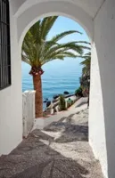 Alexsar Art Tuindoek palm boog 210x140cm - thumbnail