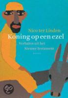 Koning op een ezel - Nico ter Linden - eBook (9789460034589) - thumbnail