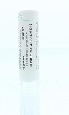 Homeoden Heel Conium maculatum D12 6 Gram