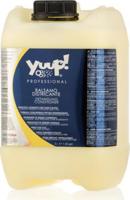 Detangling Conditioner 5 ltr - thumbnail