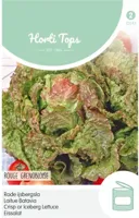 Zaden IJssla Rouge Grenobloise Hortitops - Hortitops - thumbnail