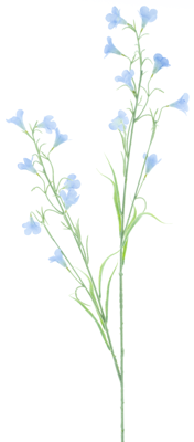 Campanula spray Reeva blue 105cm