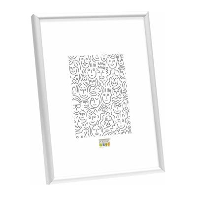 Deknudt Smalle fotokader in zilverkleurig aluminium 20x30 S026D1