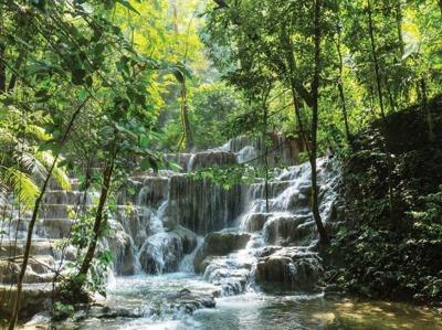 Waterval tredes 70x50cm Tuinschilderij Customize-it - Customize it