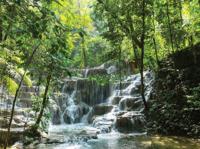 Waterval tredes 70x50cm Tuinschilderij Customize-it - Customize it - thumbnail