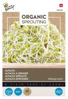 Bio Knip & Eet, Sprouting Alfalfa - thumbnail