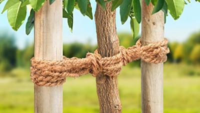 Meister Werkzeuge 9968800 Kokosgaren 1 stuk(s)