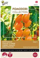 Zaden Pomodori Dolly F1 Buzzy - Buzzy - thumbnail