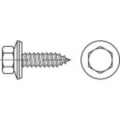 TOOLCRAFT 1070000 Gevelschroef 6.5 mm 150 mm Buitenzeskant 88176 RVS A2 100 stuk(s)