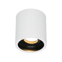 Steinhauer Spot Pélite opbouwspot 1731w wit - thumbnail