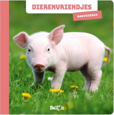 Boek Babydieren
