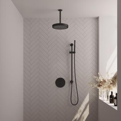 Brauer Stripe thermostatische inbouw regendouche 3-weg rond SET 45 met 25 cm douchekop en plafondarm en staaf handdouche en doucheslang en geintegreerde glijstang mat zwart