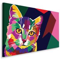 Schilderij - Kleurrijke Kat, Multikleur, Premium Print op Canvas - thumbnail