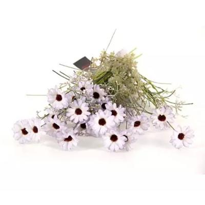 Kunst Tak Rhodante Lila Buitengewoon de Boet - Buitengewoon de boet