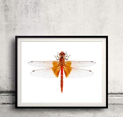 Auhagen 52413 H0, TT Kunststof platen Geel (l x b) 200 mm x 100 mm Kunststof model - thumbnail