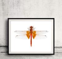 52427 H0, TT Kunststof platen Grijs (l x b) 200 mm x 100 mm Kunststof model - thumbnail