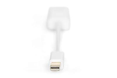 Digitus AK-340411-001-W DisplayPort / HDMI Adapter [1x Mini-DisplayPort stekker - 1x HDMI-bus] Wit 15.00 cm