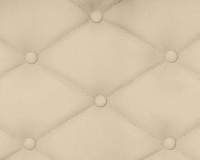 Sprayverf Foliatec Color Binnenkant Schoonmaakster (400 ml)