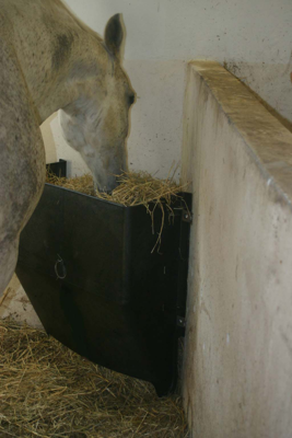 Hay Feeder 200 l kunststof, between 8-14 kg Hay