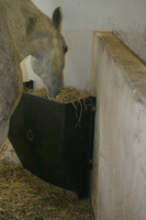 Hay Feeder 200 l kunststof, between 8-14 kg Hay - thumbnail