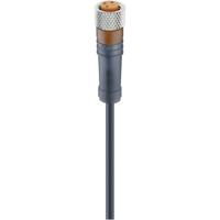Lumberg Automation 28383-1 Sensor/actuator connector, geassembleerd M8 Aantal polen (sensoren): 4 Bus, recht 2.00 m 1 stuk(s) - thumbnail