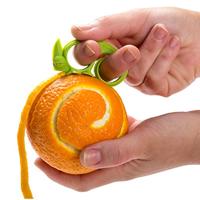 Zesty Fruitrasp En -Schiller - thumbnail