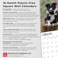 Border Collie Puppies Kalender 2026 - thumbnail