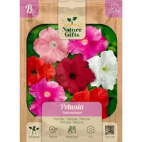 Petunia balkonmengsel 100st - thumbnail