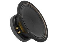 Monacor SP-10/250PRO 10 inch 25.4 cm Woofer 250 W 8 Ω - thumbnail