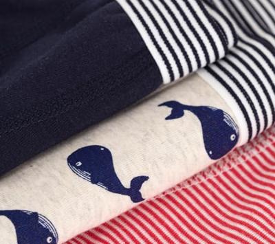 Set van 3 boxershorts van katoen met walvisprint voor kinderen PETIT BATEAU wit Set van 3 boxershorts van katoen met walvisprint voor kinderen PETIT BATEAU wit
