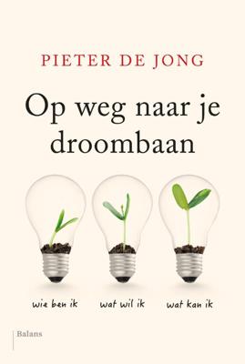 Op weg naar je droombaan (Paperback)