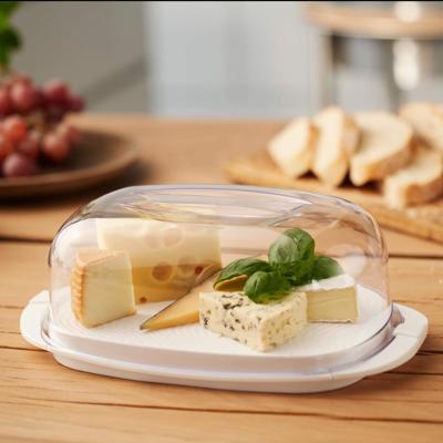 Rotho Fresh Kaasdoos 29x17x10.5 cm Wit/Transparant