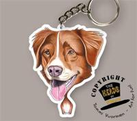 Sleutelhanger Nova Scotia Retriever - thumbnail