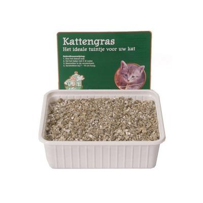 Kattengras - Gebr de boon