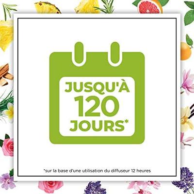 Airwick Airwick Botanica Elektrische Geurverspreider - 19 ml