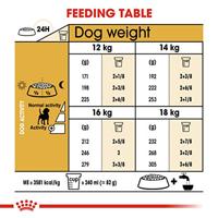 Royal Canin Adult Beagle hondenvoer 2 x 12 kg - thumbnail