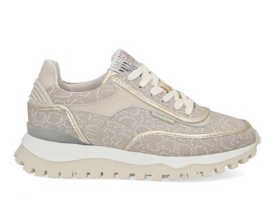 Floris van Bommel Grommi 02.12 taupe taupe maat 39