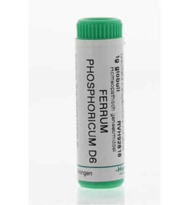 Ferrum phosphoricum D6