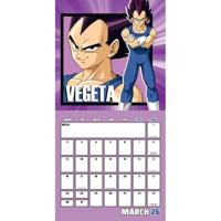 Dragon Ball Z Kalender 2026 - thumbnail