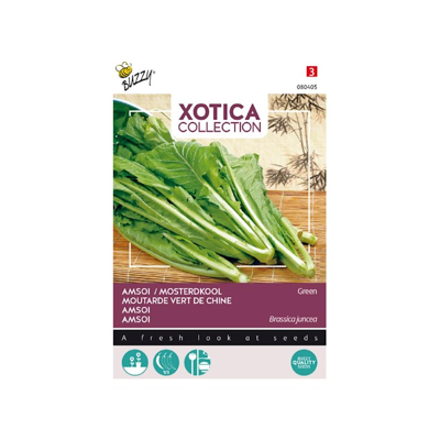 Zaden Xotica Groene Amsoi of mosterdkool Buzzy - Buzzy